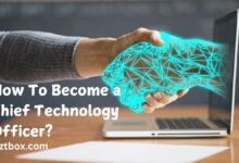 How To Become a Chief Technology Officer?
