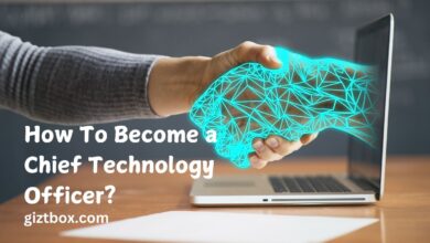 How To Become a Chief Technology Officer?